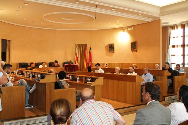 pleno elena martinez paterna