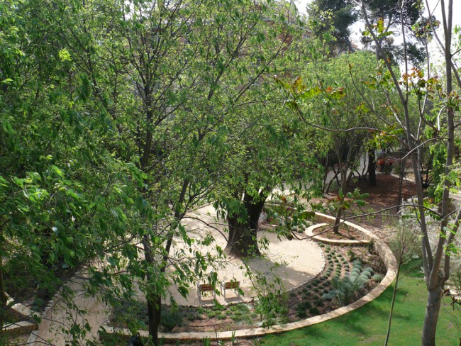 Activitats Mediambientals Gener