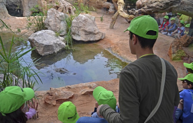 Alimentación de los cocodrilos - Expedición África Pascua - Bioparc Valencia
