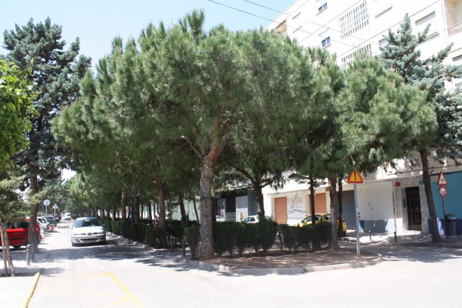 avinguda diputació catarroja