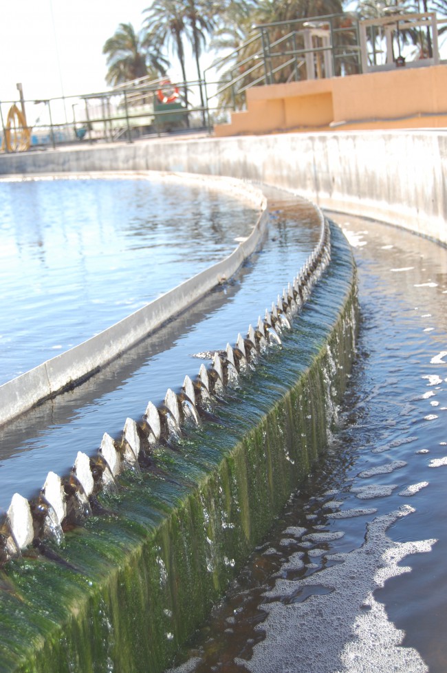 hidraqua dia mundial del medio ambiente