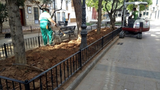 replantació de la zona enjardinada de Plaça Cor de Jesús