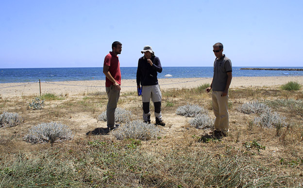 998-plantacion-flora-dunar-4