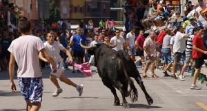 Compromís vol que siga el poble qui trie si hi ha Bous al carrer a Mislata