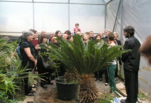 El CCB realiza una magnífica actuación interpretando obras tardomedievales y renacentistas de diversos autores, los espectadores fuimos unos pocos afortunados que nos cobijamos, el pasado día 21 de junio (día de la música), en el mismo invernadero (FOTO: J.M.M.).