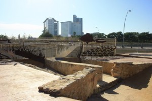 Burjassot. Llengues del Raig