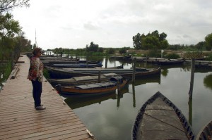albufera de Valencia