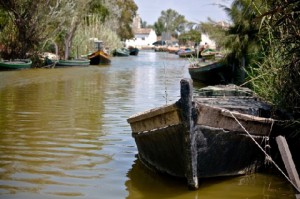 albufera Valencia