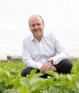 ramón puchades alcalde de Almàssera