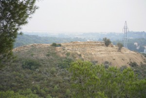 lloma de betxí en paterna