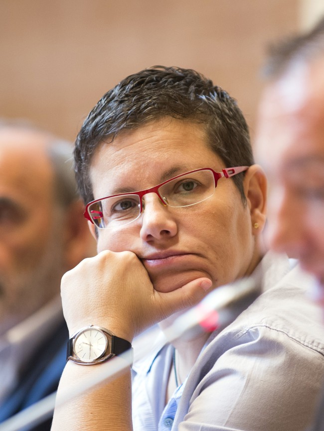 diputada provincial Isabel García