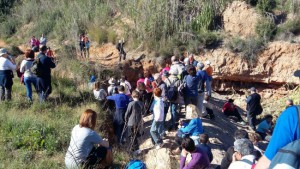 Torrent. Mes del Medio Ambiente 2015