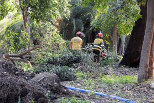 limpieza jardín colegio mayor san juan de ribera de burjassot