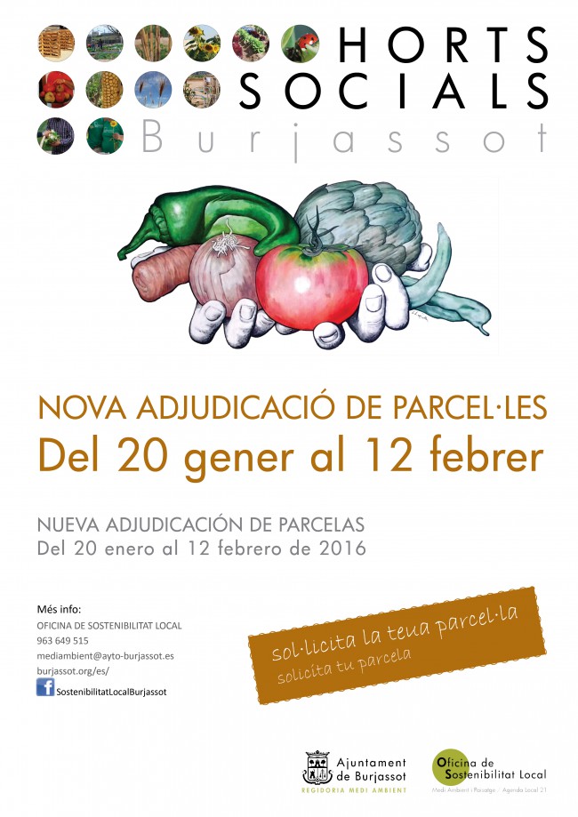 Huertos Sociales- adjudicación parcelas 2016