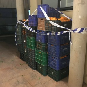 Torrent. Naranjas decomisadas. Policia Local