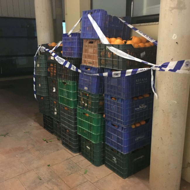 Torrent. Naranjas decomisadas. Policia Local