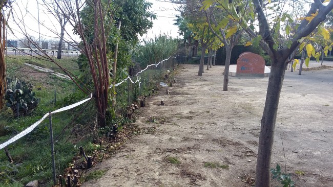 repoblació parc pablo iglesias xirivella (3)
