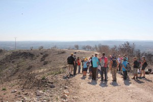 Torrent-serra-perenxisa-reforestacion-incendio-forestal