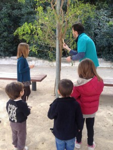 Torrent ‘da de comer’ a los pájaros de l’Hort de Trénor