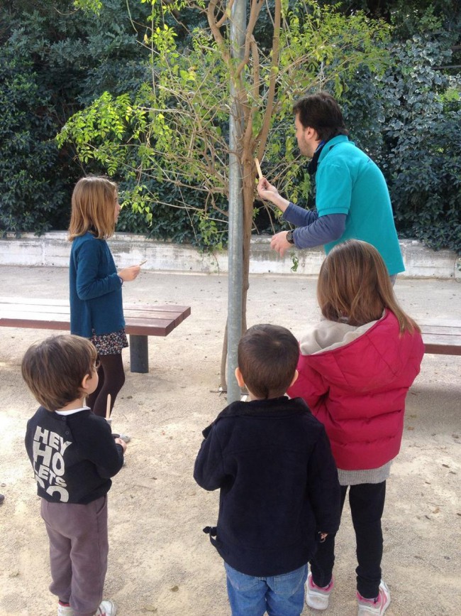 Torrent ‘da de comer’ a los pájaros de l’Hort de Trénor