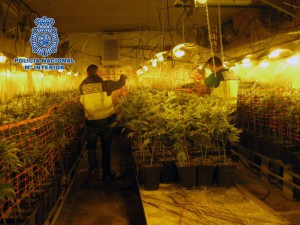 Xirivella marihuana Policia Nacional