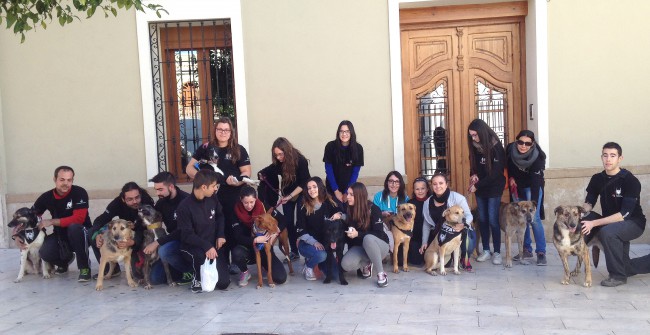 patrimonio pulgada Sui El casting de perros de Paterna cuenta con más de 75 canes aspirantes en  menos de una semana