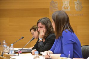 Corts. Comisión investigacion accidente metro. Beatriz Garrote