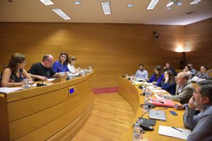 Corts. Comisión investigacion accidente metro. Francisco Manzanaro