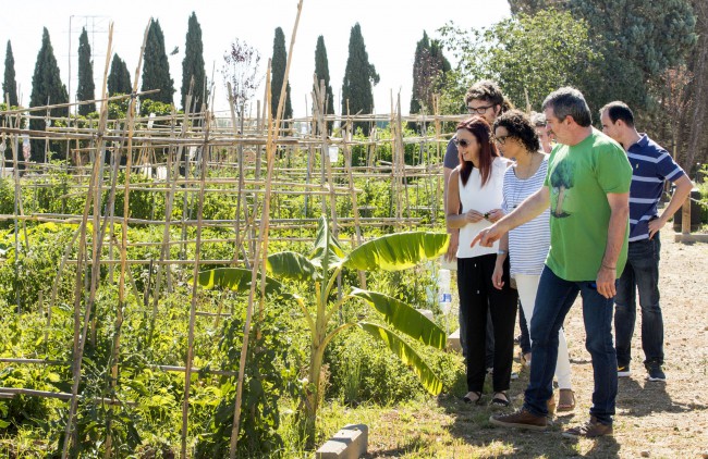 Amigó y Bort visitan huertos hurbanos en Paiporta