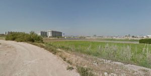 Alboraya_peixets_marenostrum