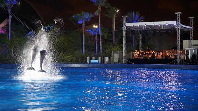 Noches en el Oceanografic Valencia