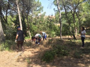 Torrent. El Vedat. vigilantes