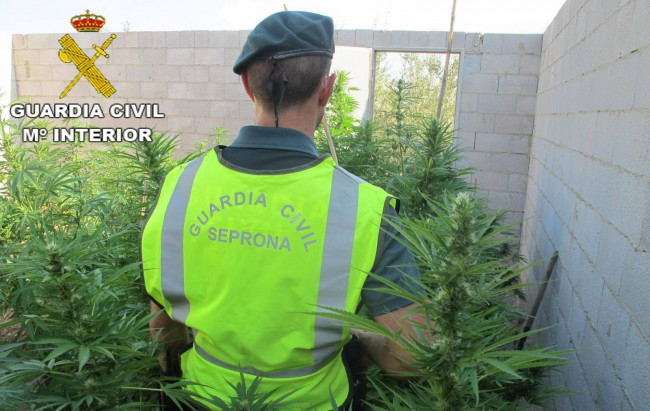 Guardia Civil marihuana