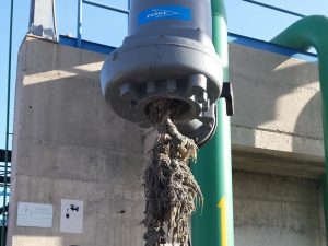 La depuradora de Torrent recoge 85 toneladas de toallitas