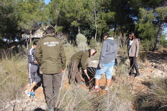reforestacion-serra-perenxisa-torrent