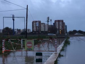 temporal lluvias