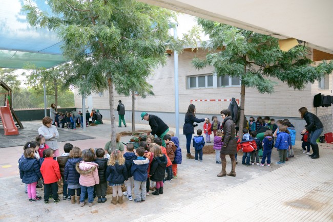 Paiporta Día del Árbol