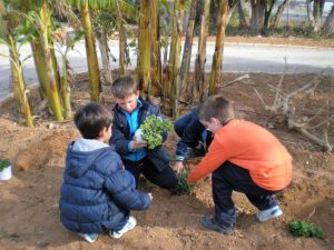 Xirivella Dia Arbre 2016