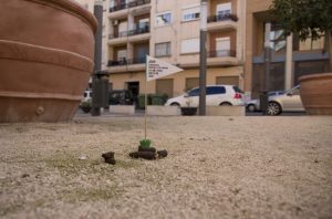 Banderita proyecto ADN canino Mislata