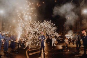 Entra de la flor Torrent