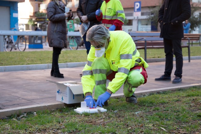 Mislata Análisis muestras ADN canino