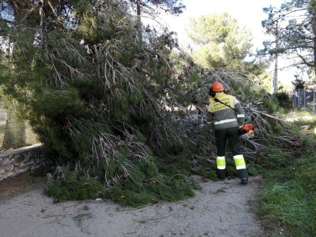 caida arbol divalterra brigada