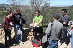 El Museu de Prehistòria reprèn les visites guiades al jaciment de la Lloma de Betxí a Paterna