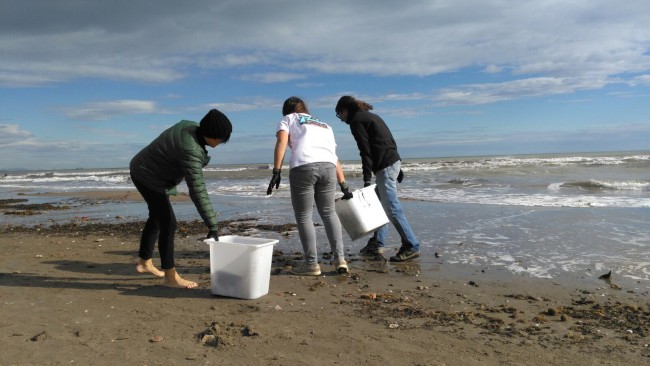 basuraleza playa patacona