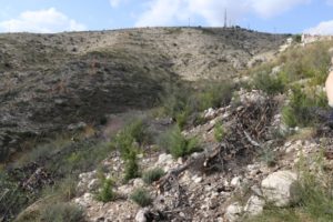 Serra Perenxisa trabajos reforestación