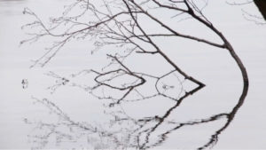 A journey of 1000 years