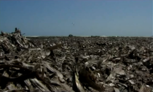 Onírica Belleza Degradada