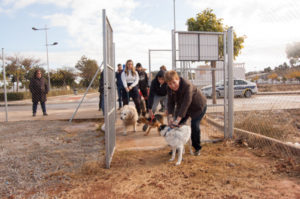 el Puig obri el seu primer parc caní