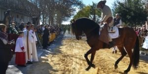 Festa Sant Antoni de Picanya