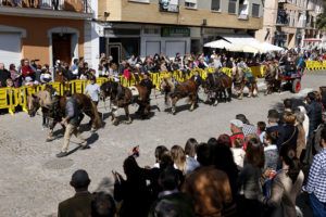 Bendición de animales Sant Antonio Puçol